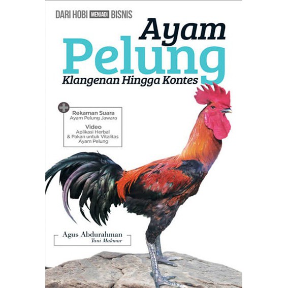 Ayam Pelung Dari Klangenan Hingga Kontes Shopee Indonesia