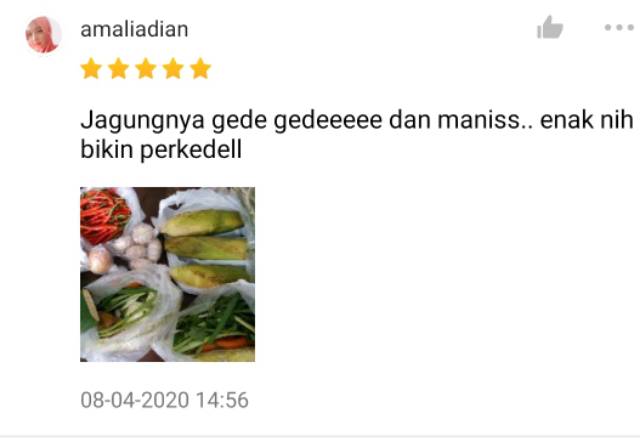 KIRIM INSTAN Jagung Manis Sayur Express