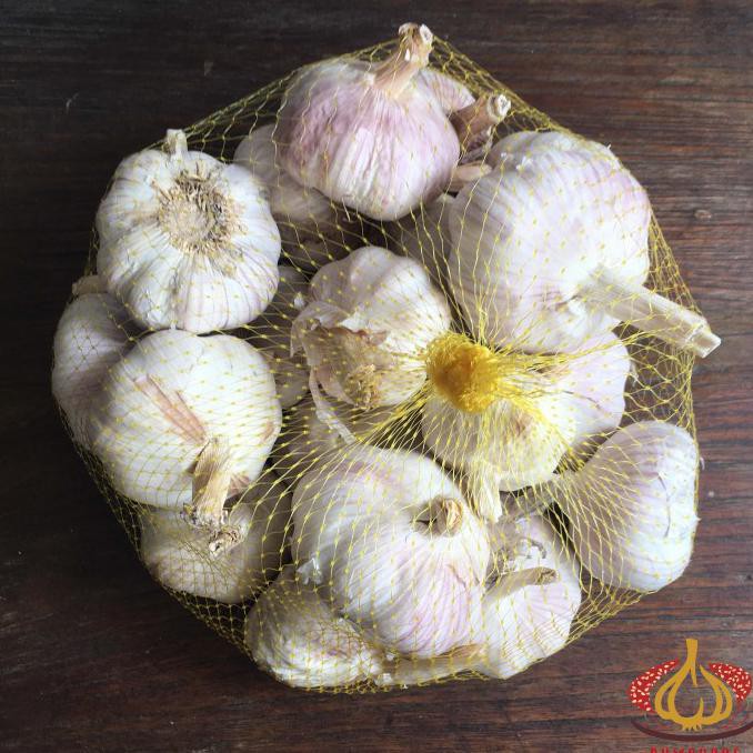 

Cuci Gudang Awal Tahun Bawang Putih Banci Honan per kg - Utuh Big Sale