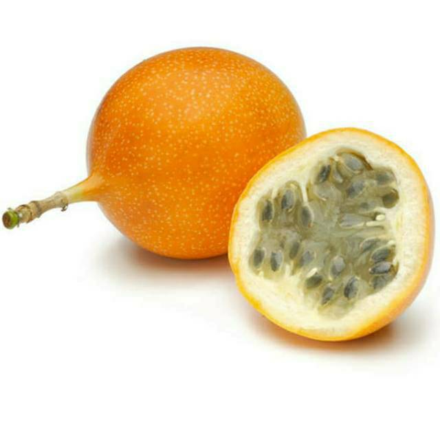 Bibit buah markisa orange