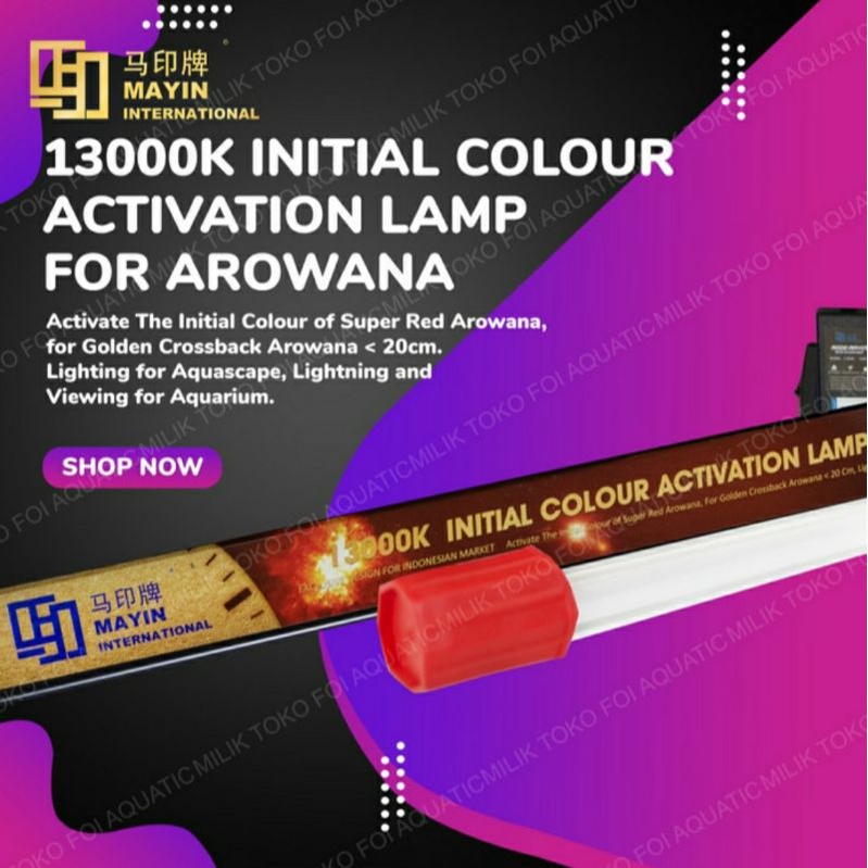 Lampu TANNING celup submersible T5 MAYIN 13000K Aquarium Ikan Arowana