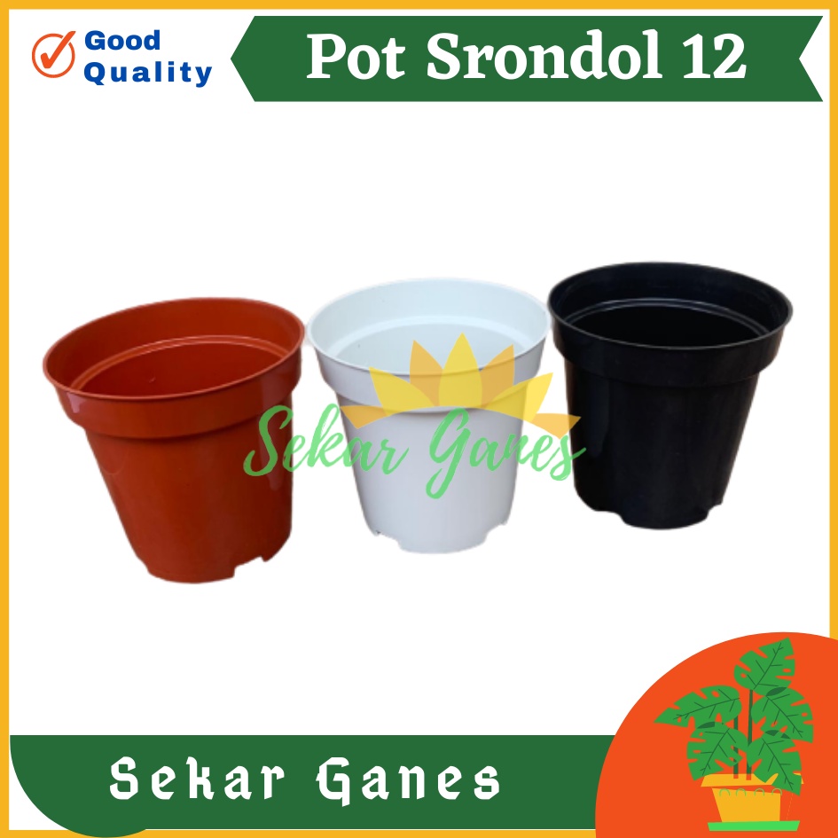 Pot Tinggi Srondol 12 Putih Hitam Merah BataTerracota Coklat - Pot Tinggi Usa Effiel 18 20 25 Lusinan Pot Tinggi Tirus 15 18 20 30 35 40 50 Cm Paket murah isi 1 lusin pot tanaman Pot Bibit Besar Mini Kecil Pot Srondol Pot Bunga Termurah Bahan Bagus