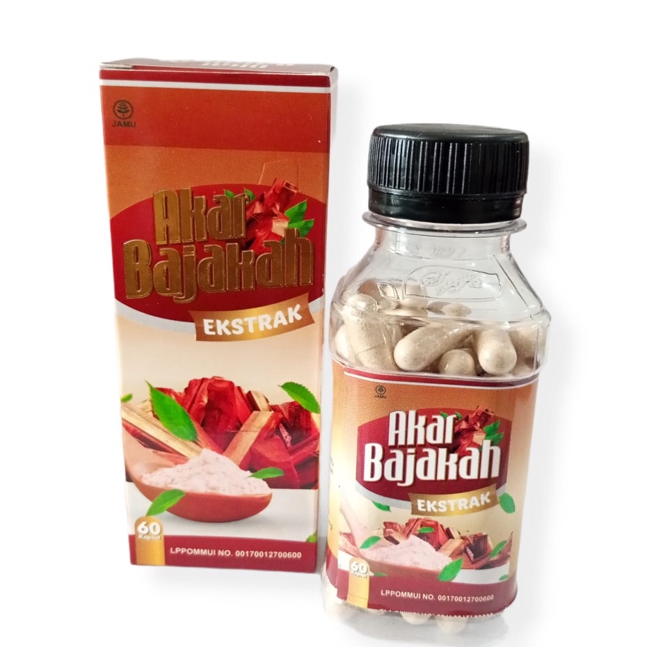 Kapsul Bajakah / Kapsul Akar Bajakah / Ekstrak Bajakah