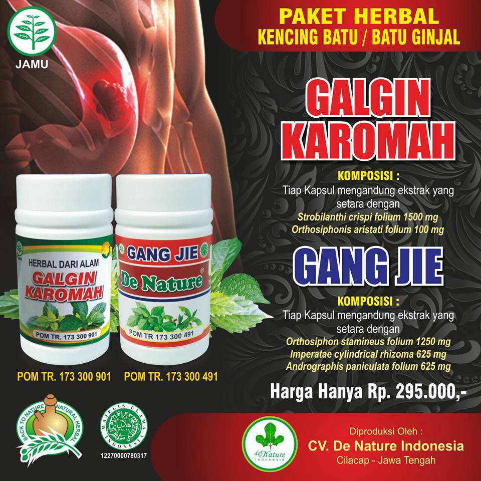 Jual Obat Penghancur Batu Empedu Obat Radang Saluran Kemih Obat Gagal