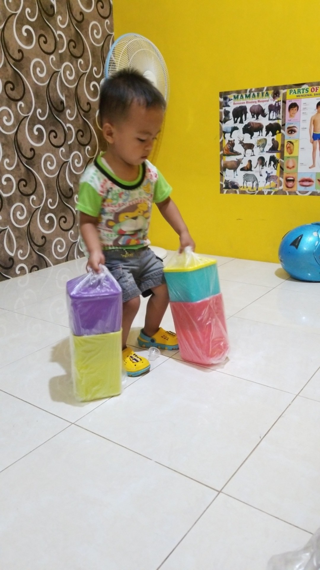 Tall Summer Fresh (1 Set)