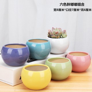  Pot  Kaktus  Succulent Kecil  Bentuk Bulat Bahan Porselen 