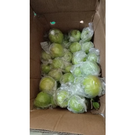 

jambu kristal purbalingga