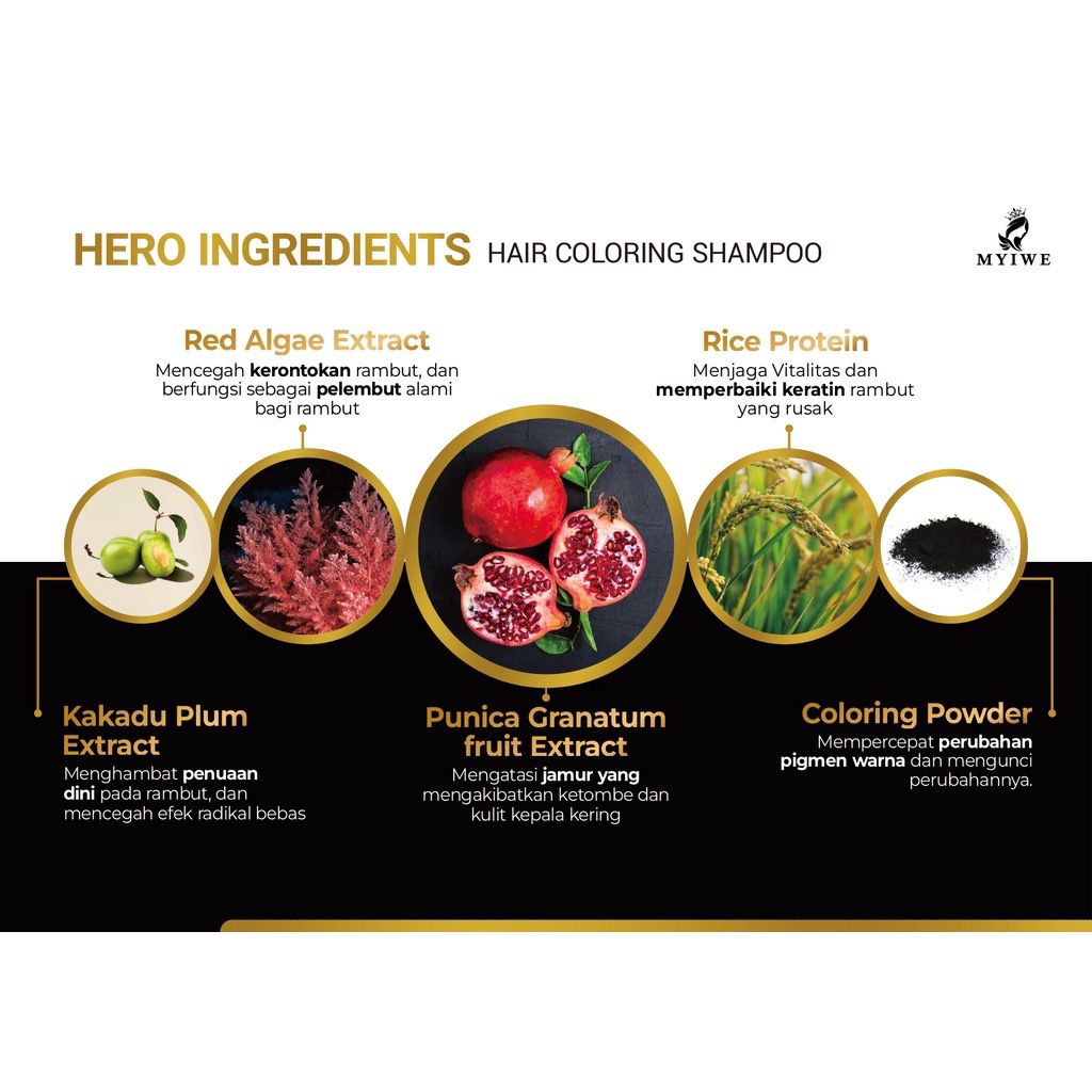 SHAMPO HAIR COLORING MENGHITAMKAN RAMBUT DAN MENJAGA RABUT TUMBUH LEBIH SEHAT-5