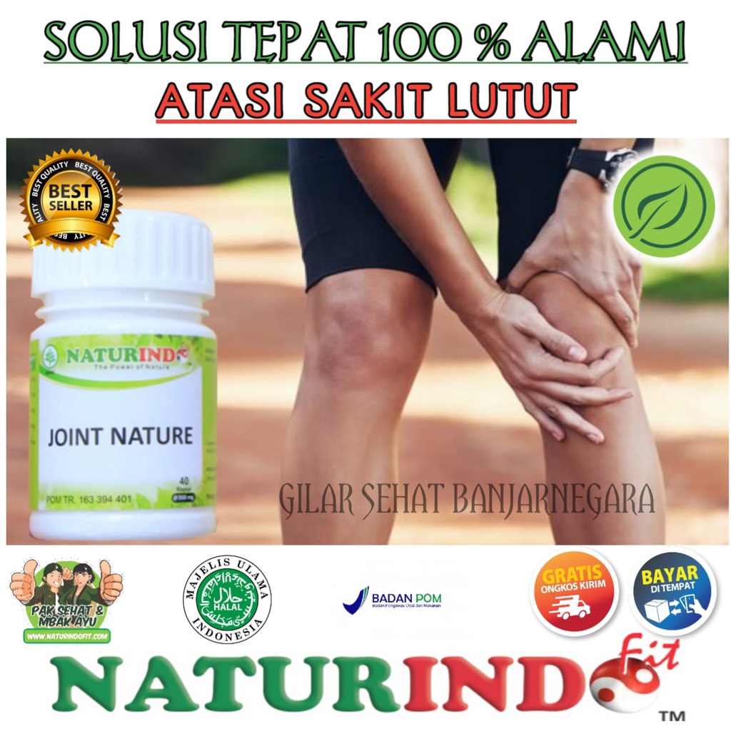 Jual Herbal Joint Nature Naturindo 40 Kapsul Obat Membantu Meredakan