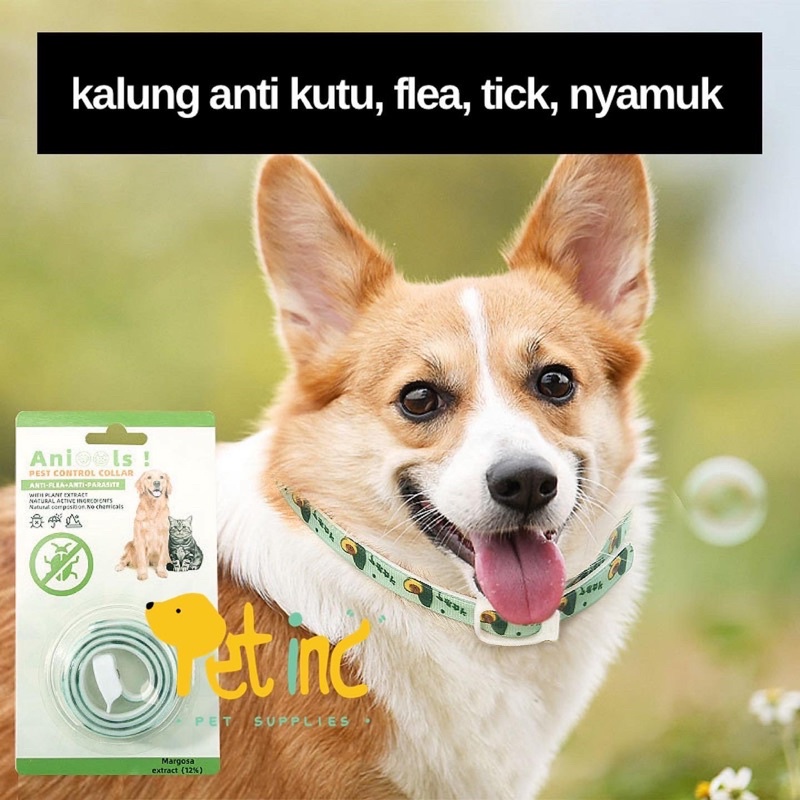 OKAMI Dog &amp; Cat Flea Tick Collar - Kalung Kutu Anjing &amp; Kucing