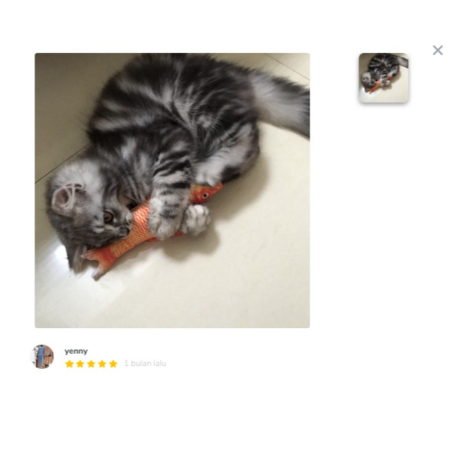 Mainan kucing Boneka catnip ikan