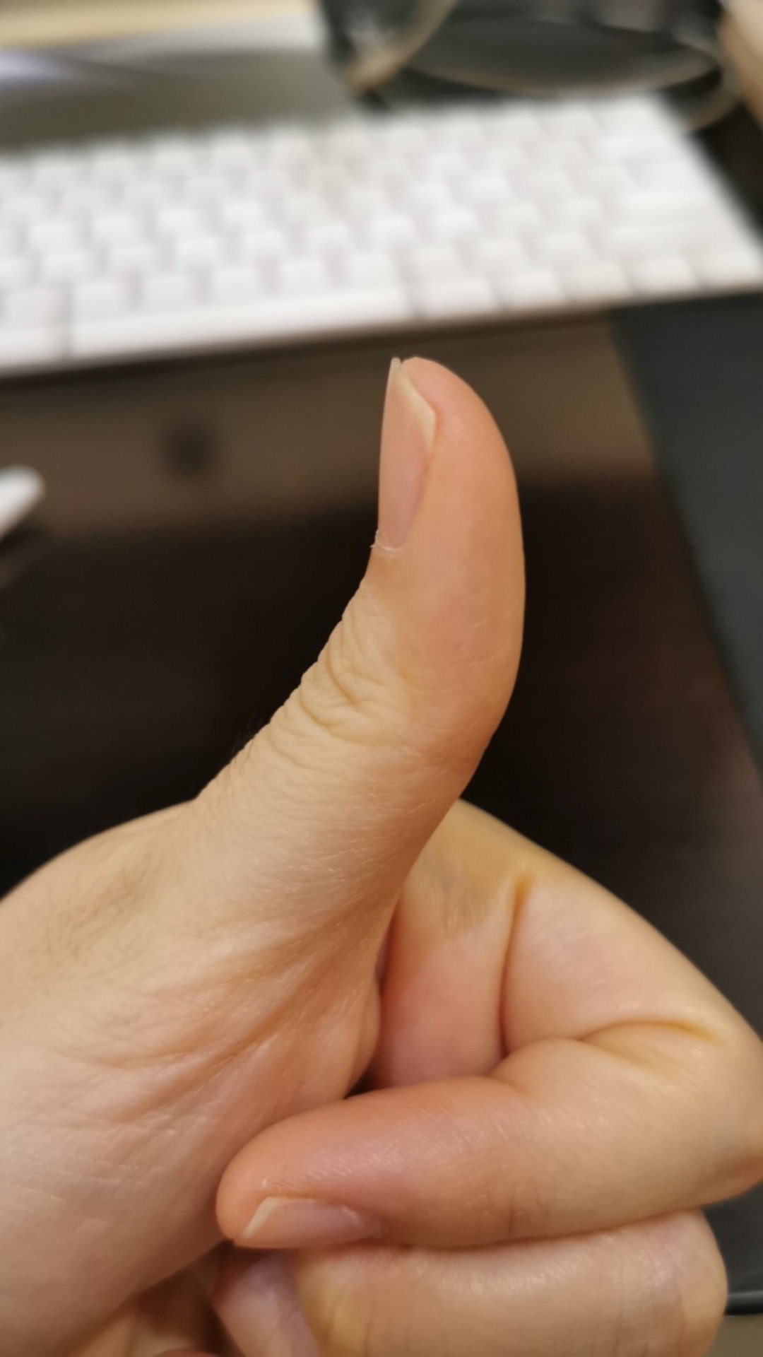 Tempat Sambal / Tempat Tempat Cabe / Tempat Saus / Piring Kecil 3,5inc