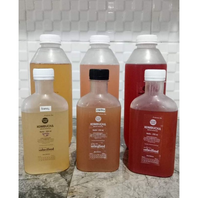 

kombucha minuman probiotik rasa jahe