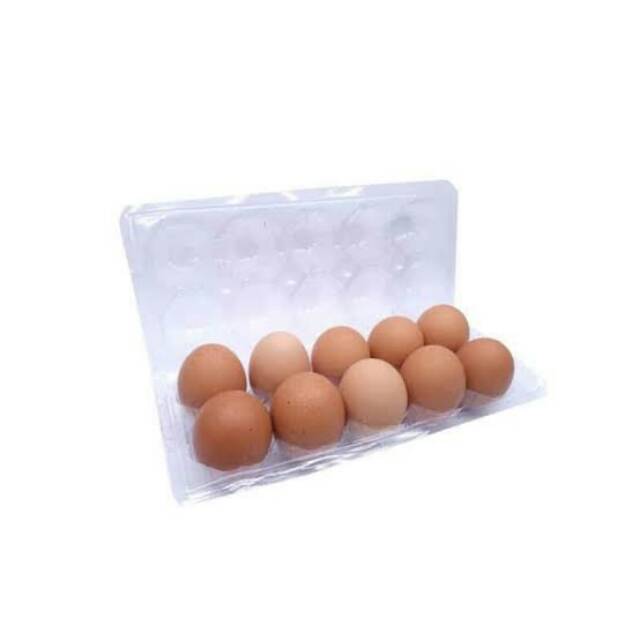 

Telor 10 Butir 700 - 800 gr
