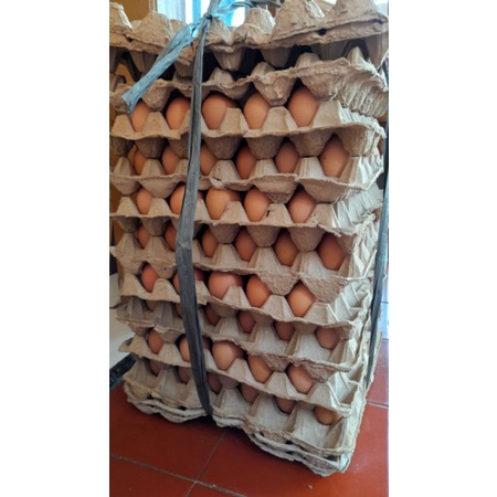 

TELUR AYAM TERMURAH! FRESH HASIL KANDANG SENDIRI|
