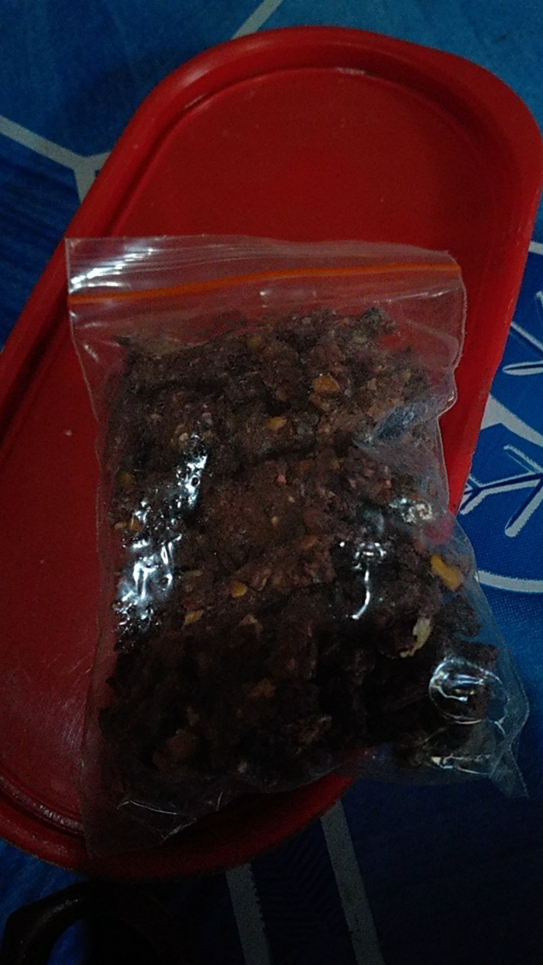 Umpan Perangkap Tikus Paling Mematikan Ramtus Temanggung