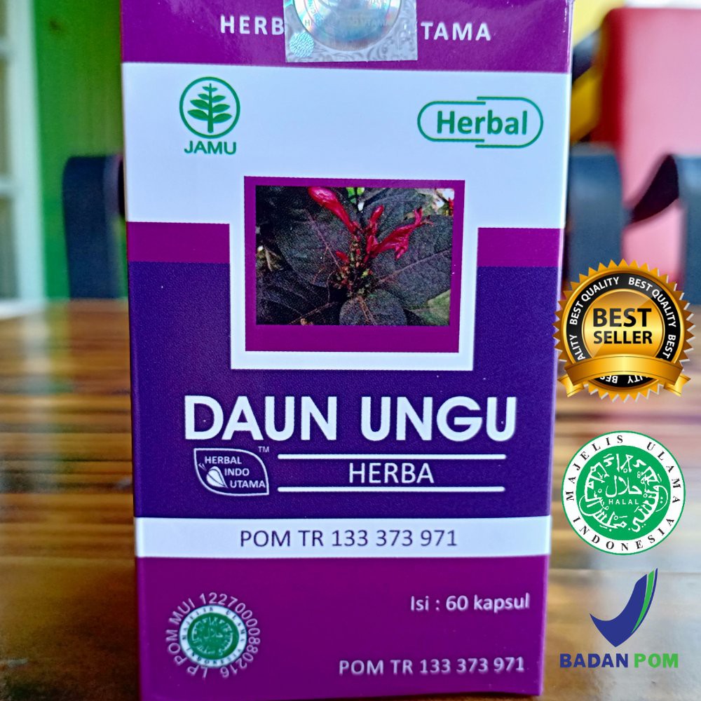 Herbal Obat Ambien Obat Ambeien Obat Wasir Kapsul DAUN UNGU Terbukti Manjur