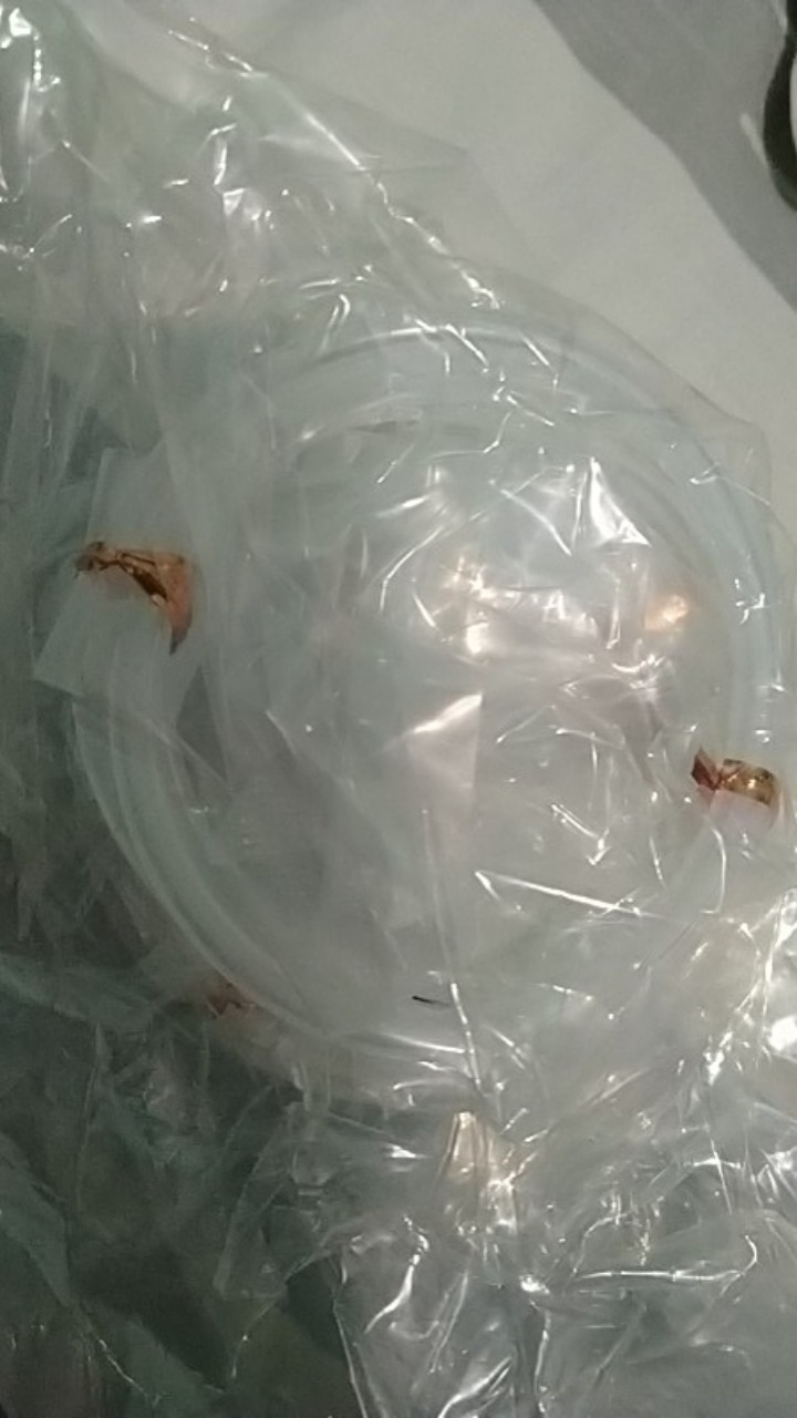 Spectra Selang Tubing Selang Pompa Spectra