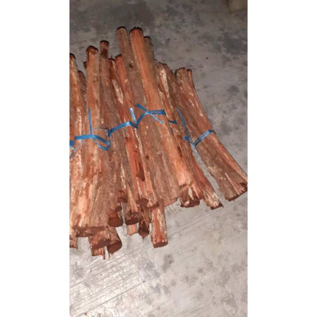 KAYU BAJAKAH / AKAR BAJAKAH