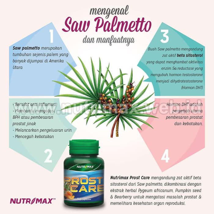 DISKON -  Nutrimax Prost Care Vitamin/Obat Untuk Kesehatan Prostat (ProstCare)