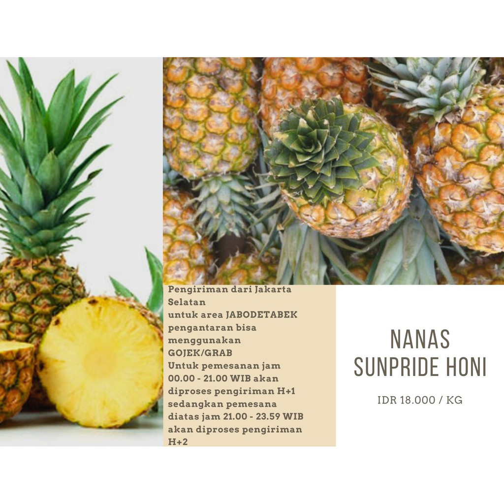 

Nanas honi sunpride / nanas honi