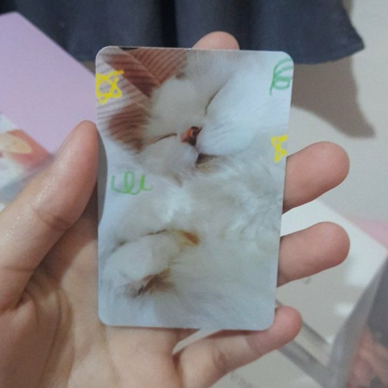 [BOOKED] RED VELVET SEULGI CAT PC PHOTOCARD - ART GALLERY BOOK