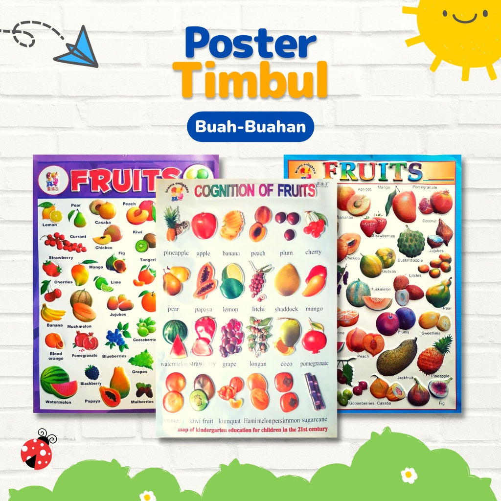 Poster Timbul Edukasi Anak Belajar Buah-buahan 3D