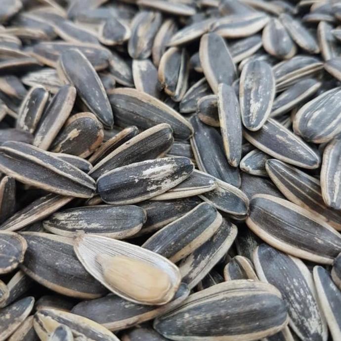 

kwaci matahari import berat 1000gr