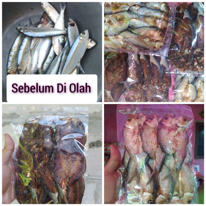 

ikan Dengdeng Sarden - Gurih Tanpa Pengawet