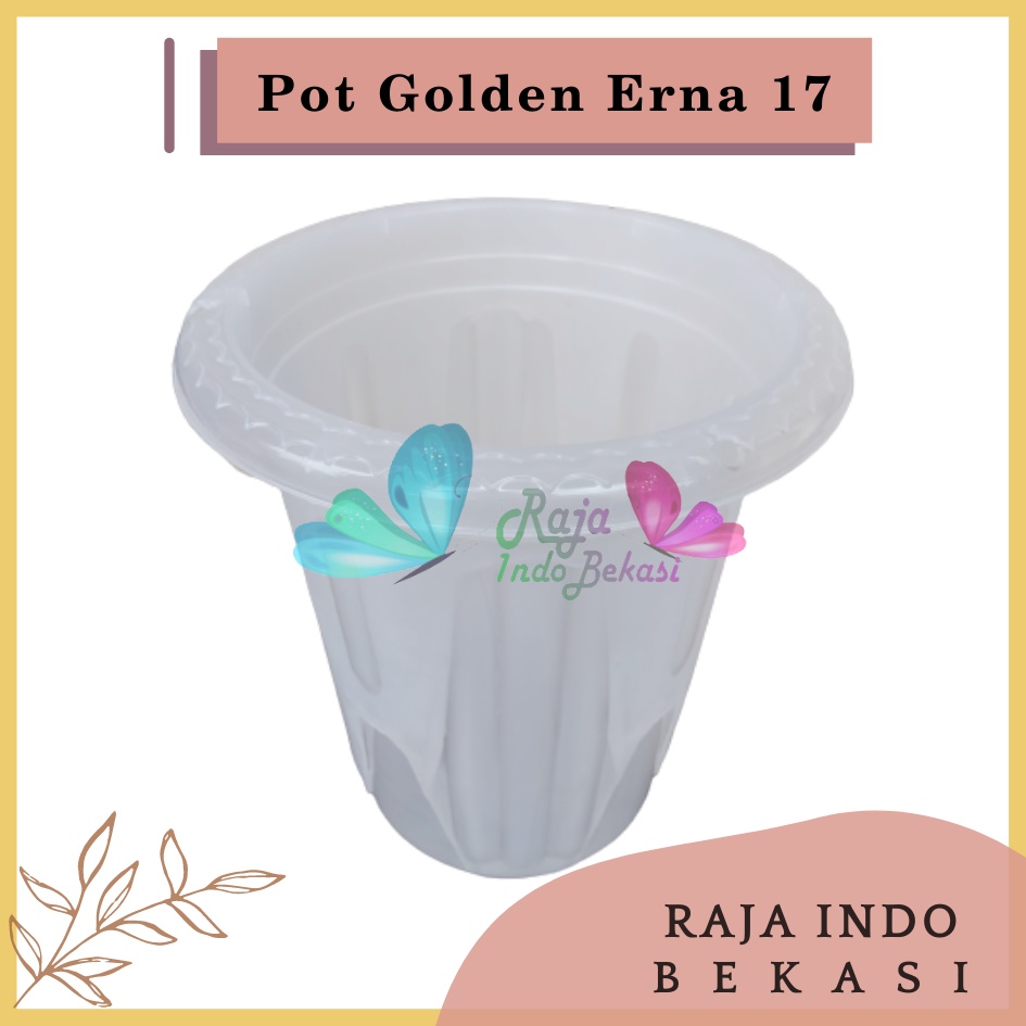 Pot GE17 Golden Erna 17 Transparan Bening Garden Of Love Mirip Pot Yogap 15 17 Putih Coklat Merah Bata Bening Transparan Pot Yogap 17 18 19 Pot Yogap Murah Pot Bunga Tinggi Pirus Tegak Bagus Tebal