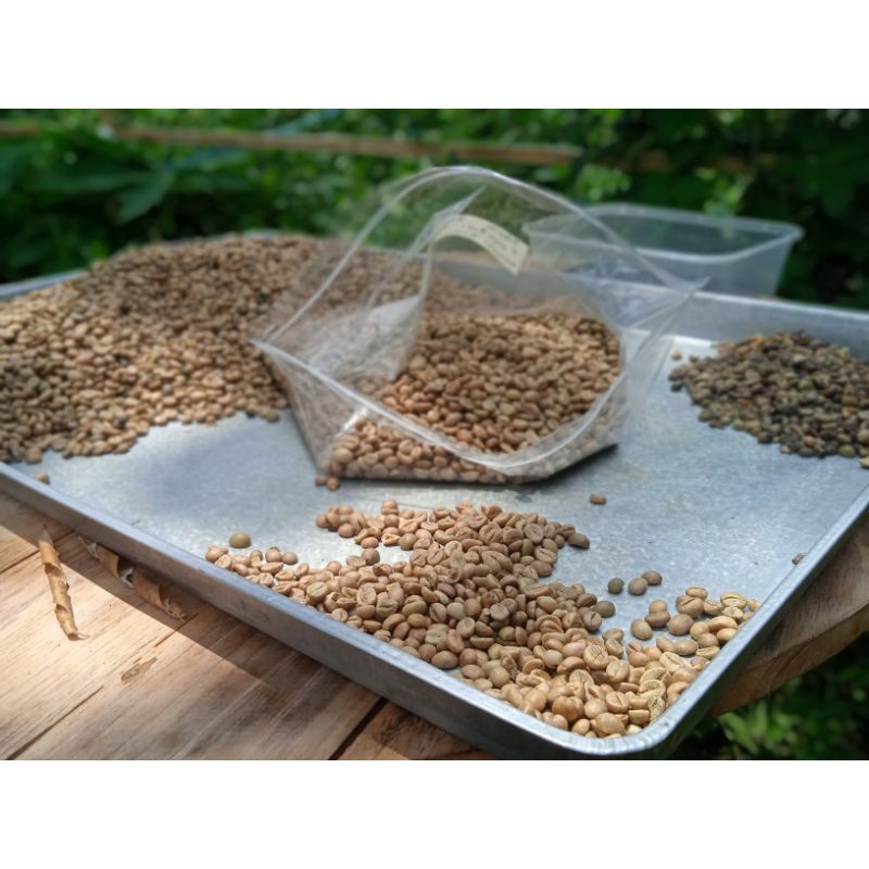 

biji kopi robusta senaru