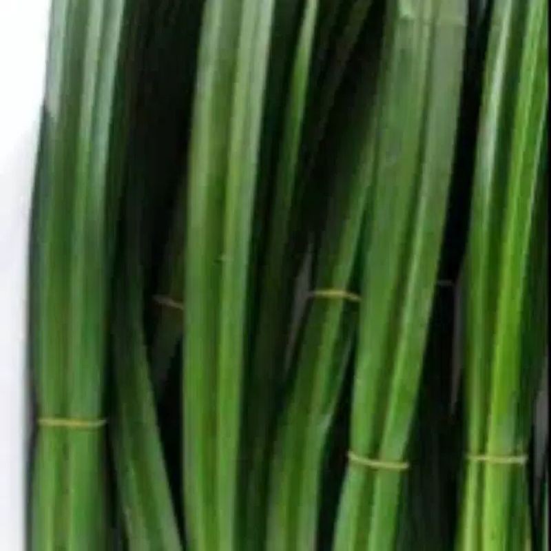 

10 Daun Pandan Segar