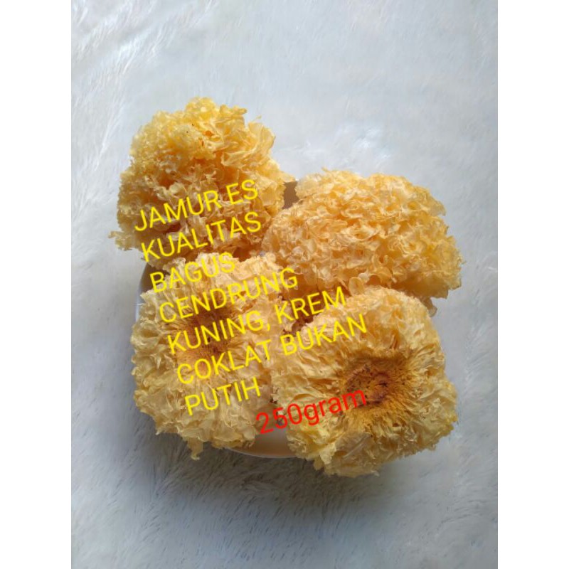 

Jamur Salju Premium 250gram / Dried Snow White Fungus
