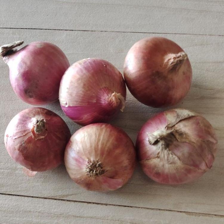 

ㆊ Bawang merah ⇏