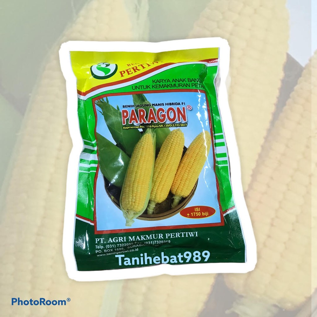 

Paragon 1750 butir