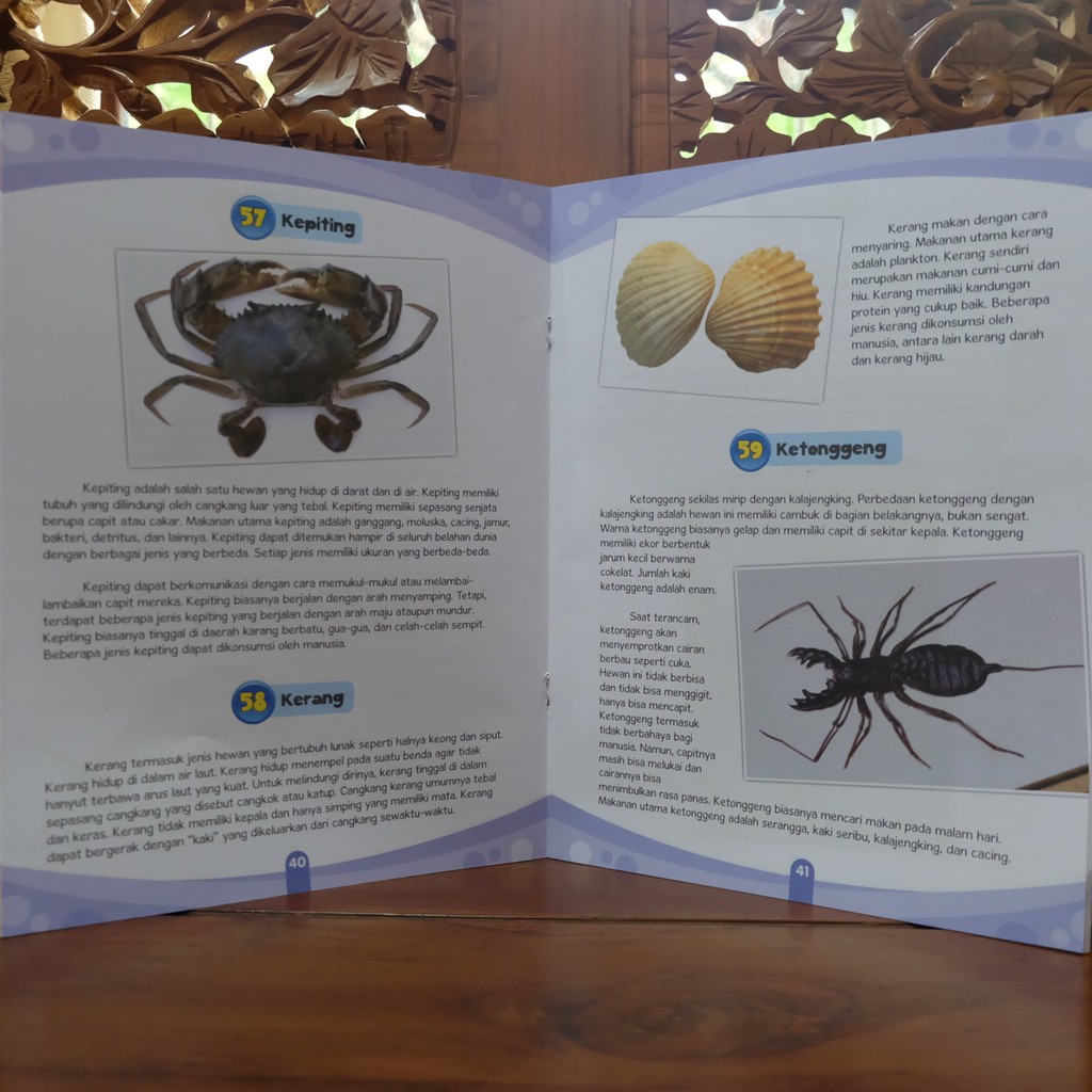 Buku Bacaan Anak Cari Tahu Hewan Hewan Bertumbuh Kecil Shopee Indonesia