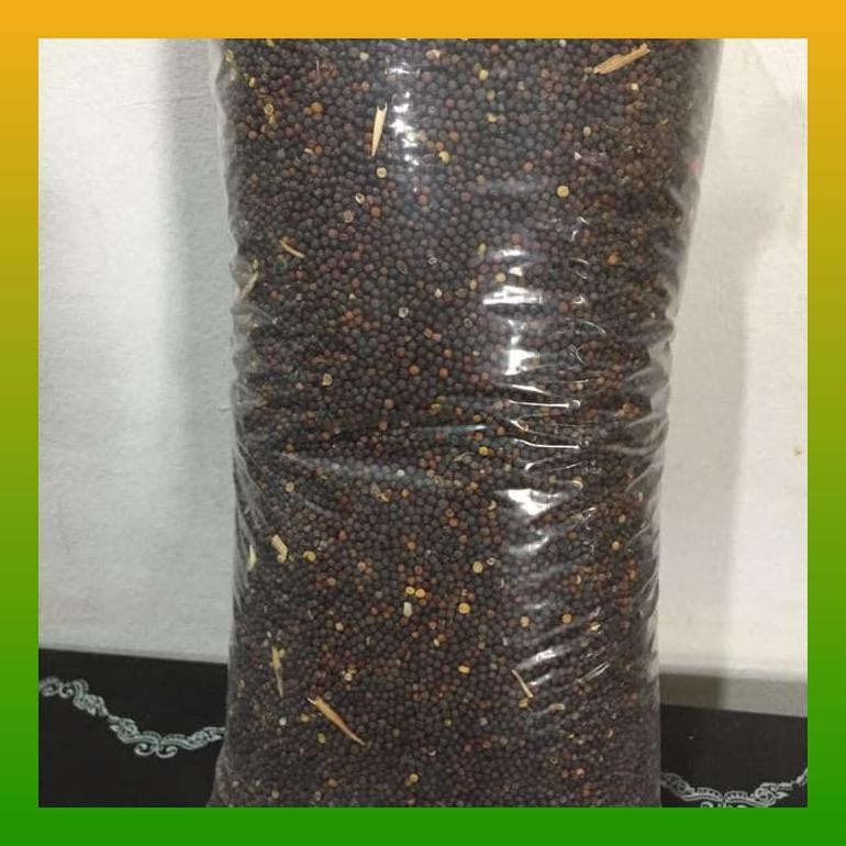 BIJI SAWI - PAKAN BURUNG