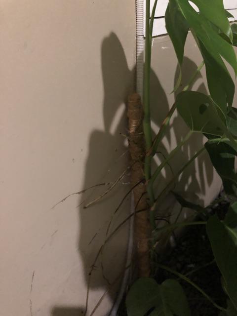 Turus/penyangga 90 Cm