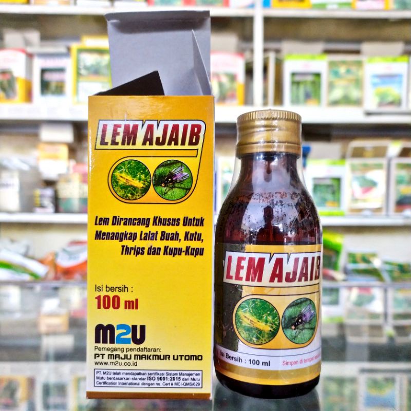 LEM AJAIB LEM PERANGKAP LALAT BUAH & SERANGGA