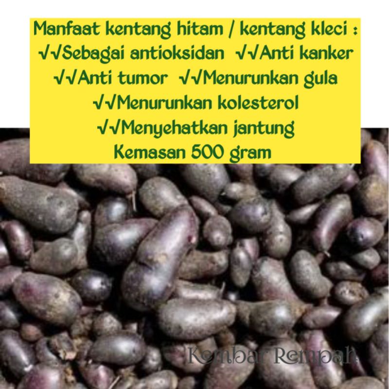 

Umbi kentang hitam / kentang kleci 500 gram