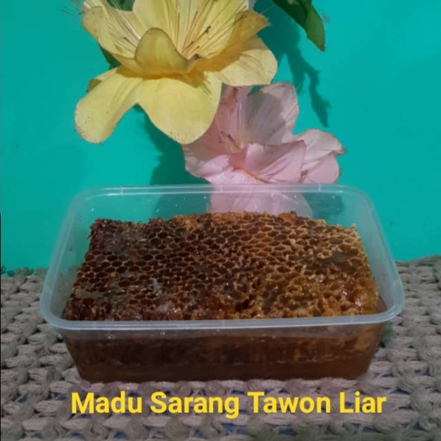 

Madu sarang tawon liar