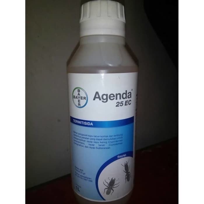 AGENDA 25 EC BASMI RAYAP