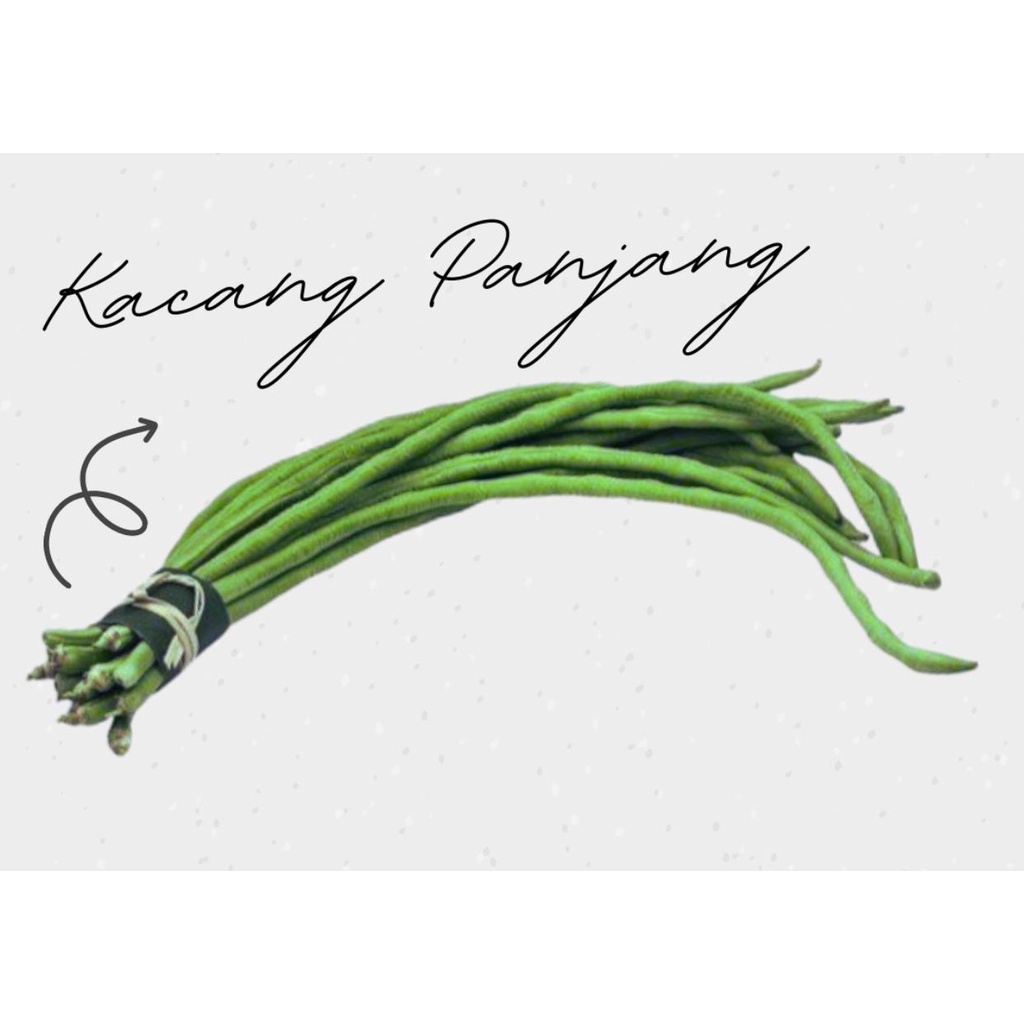 

Kacang Panjang 250gram