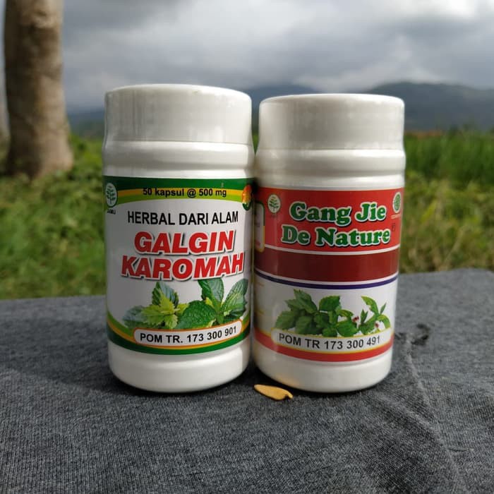 Obat Kencing Batu Batu Ginjal Susah Kencing Sakit Saat Kencing Gagal Ginjal Herbal