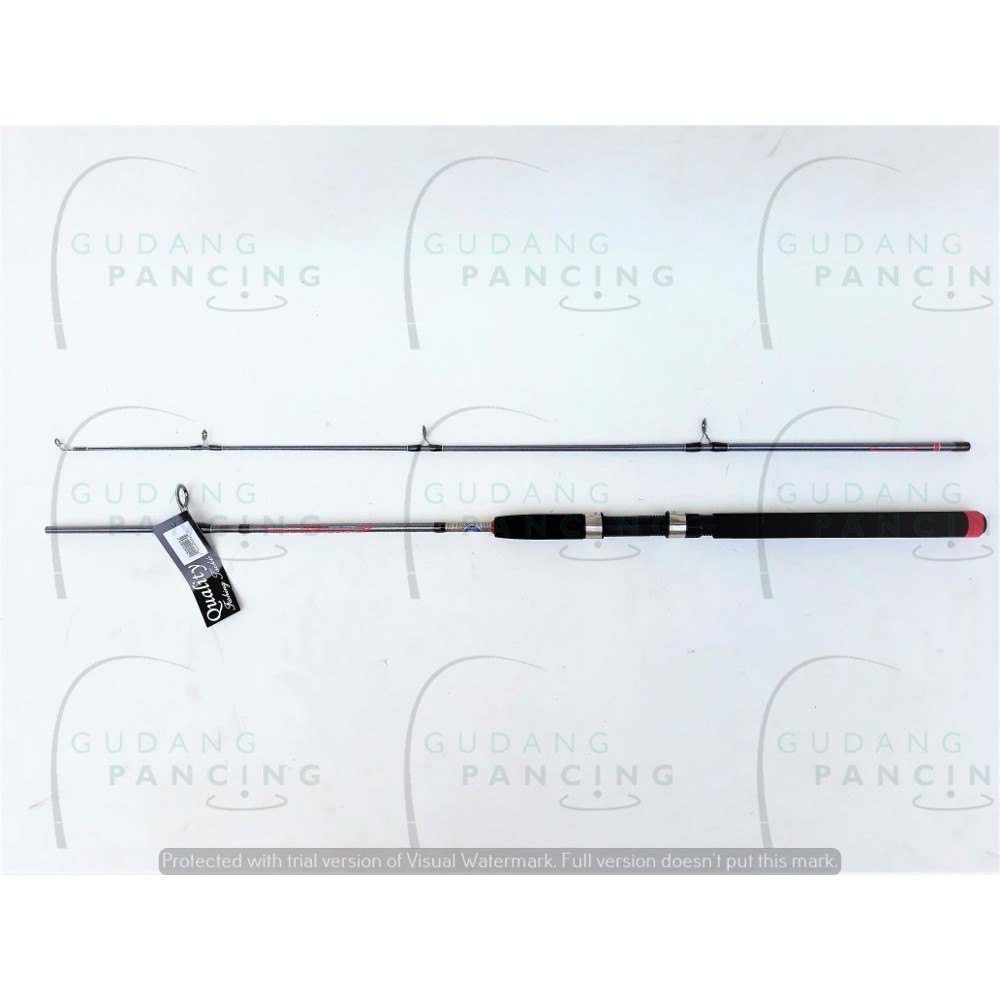 Golden Fish Carneros SP602MH