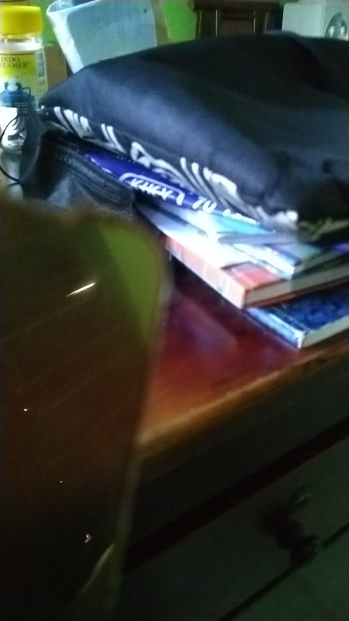 Centong Plastik / Centong Nasi / Centong Sayur / Centong Murah ) [ I-one ]