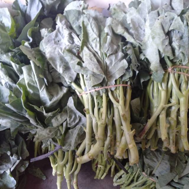 

Kailan~ Baby Kailan 500gram