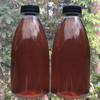 

Madu Asli 350 ml sumber nutrisi lengkap