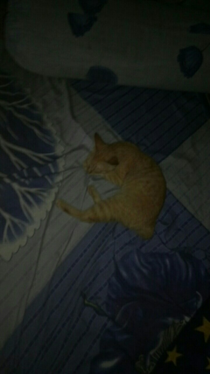 Maura Couple - Sania Ruffle Batik Couple Ori Ndoro Jowi Garansi Termurah Shopee - Batik Modern Solo