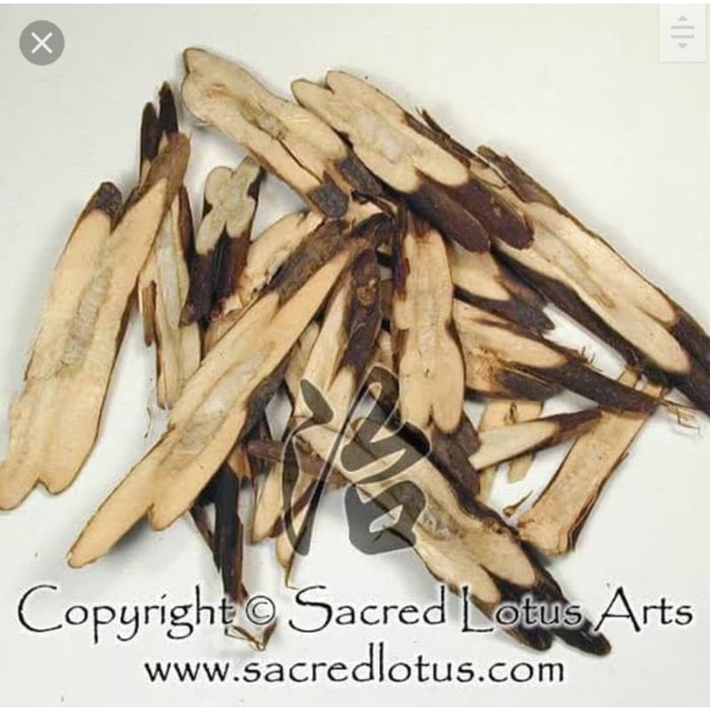 

600 g gr gram Zi Su Geng 紫苏根 紫苏梗 Perillae Ramulus Root